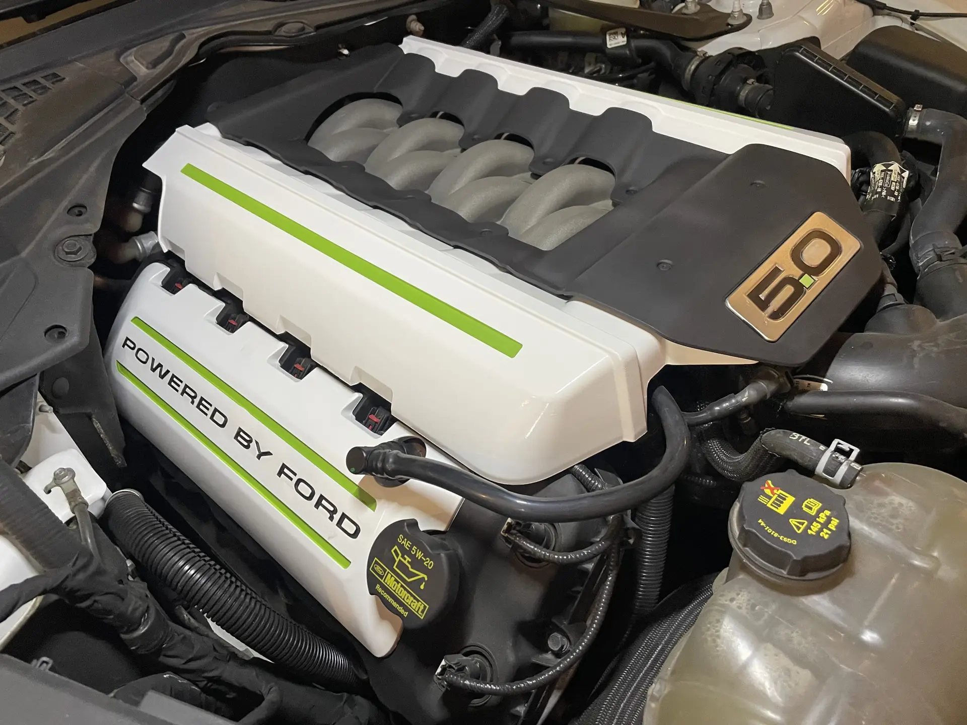 Engine cover Cerakote